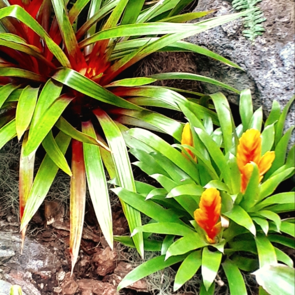 Meet your Posher, Paula